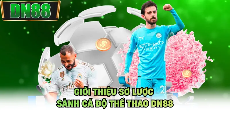 Giới thiệu sơ lược sảnh cá độ thể thao DN88